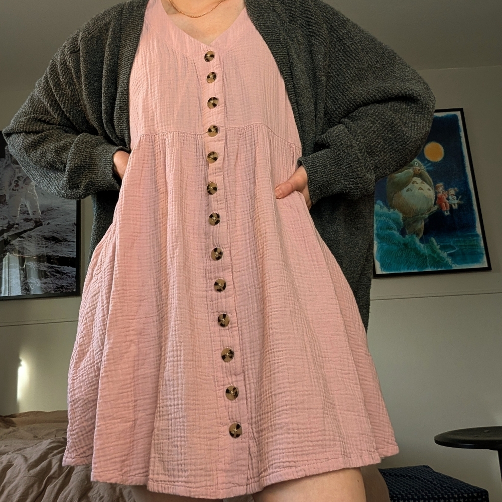Madewell Pink Button-Front Mini Dress